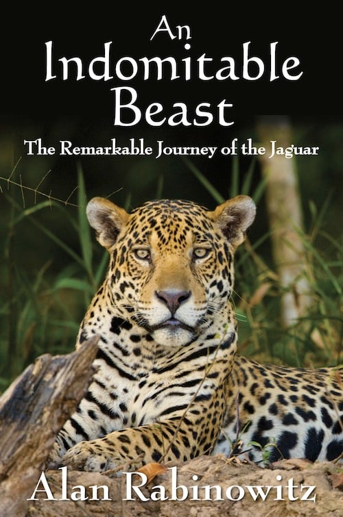 Book Review: An Indomitable Beast: The Remarkable Journey of the Jaguar