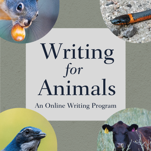 Writing for Animals class