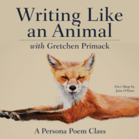 Writing Like an Animals