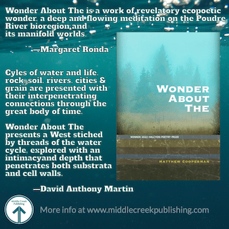 Wonder About Time