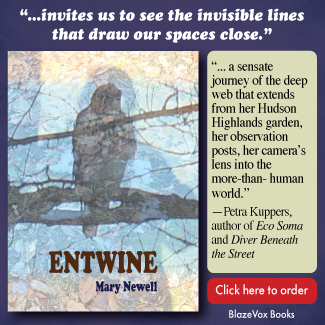Entwine by Mary Newell